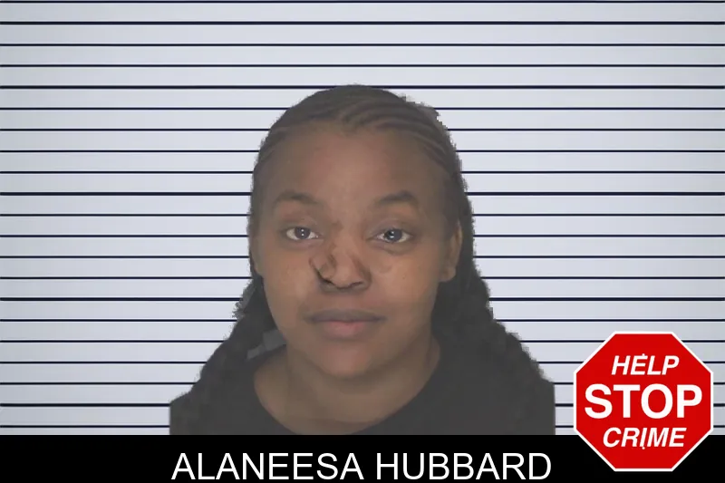 Alaneesa Hubbard mugshot