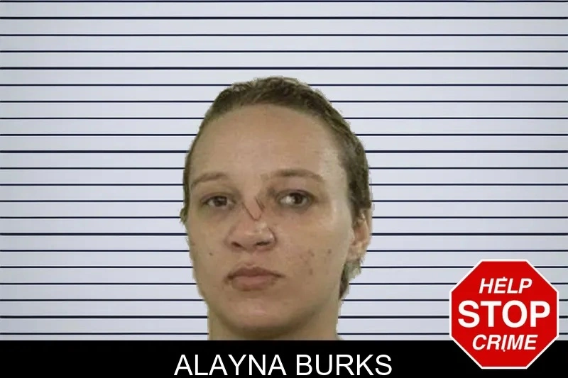 Alayna Burks mugshot – Liberty County , Georgia Alayna Burks mugshot