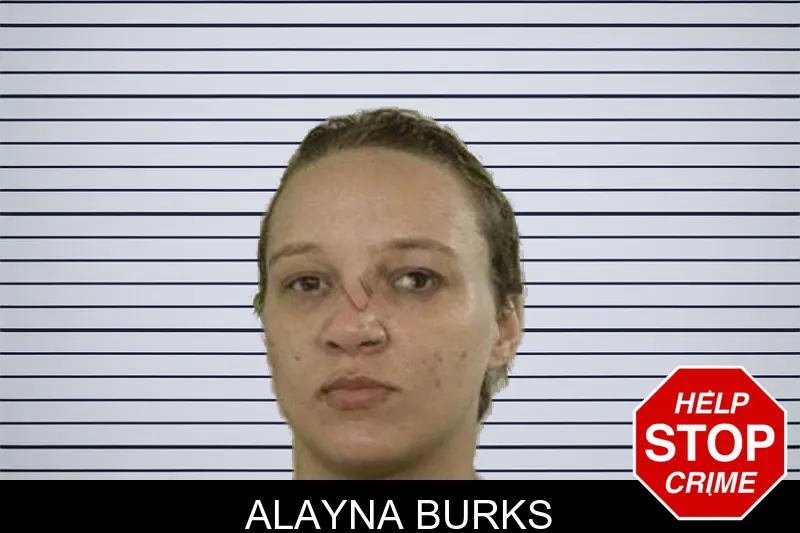 Alayna Burks mugshot