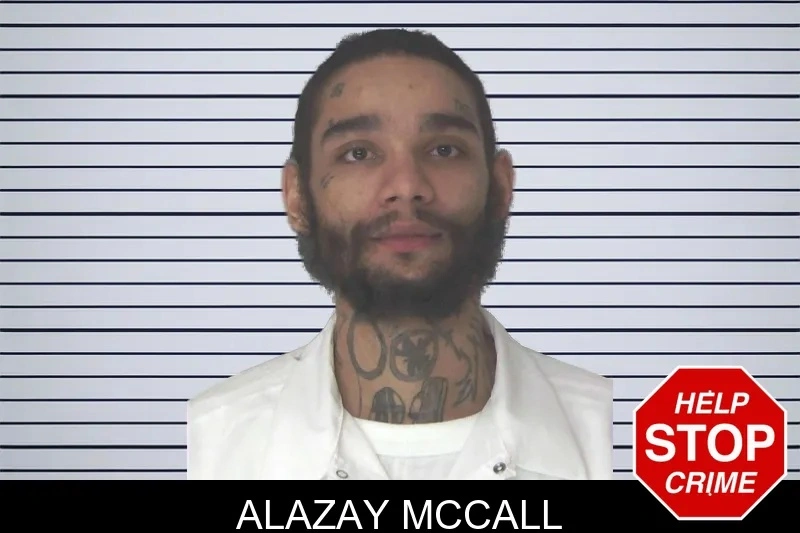 Alazay McCall mugshot