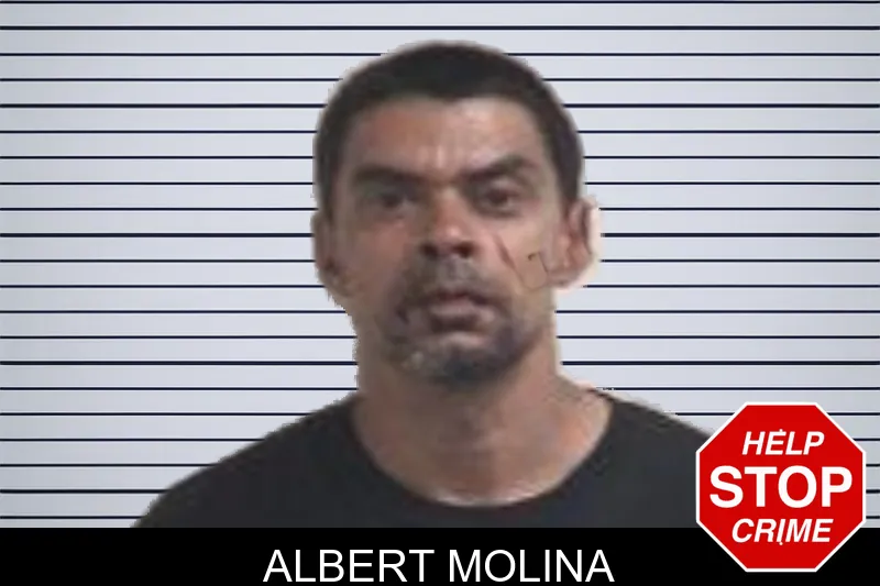 Albert Molina mugshot – Henry County , Georgia Albert Molina mugshot