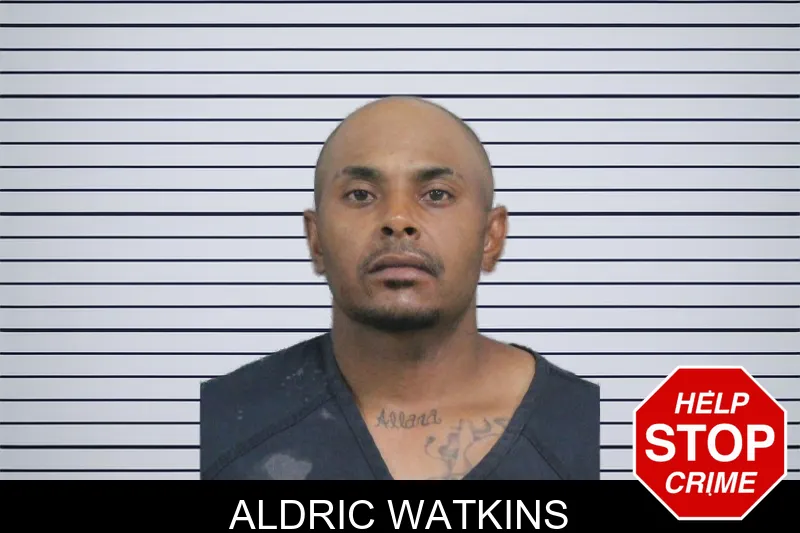 Aldric Watkins mugshot – Catoosa County , Georgia Aldric Watkins mugshot
