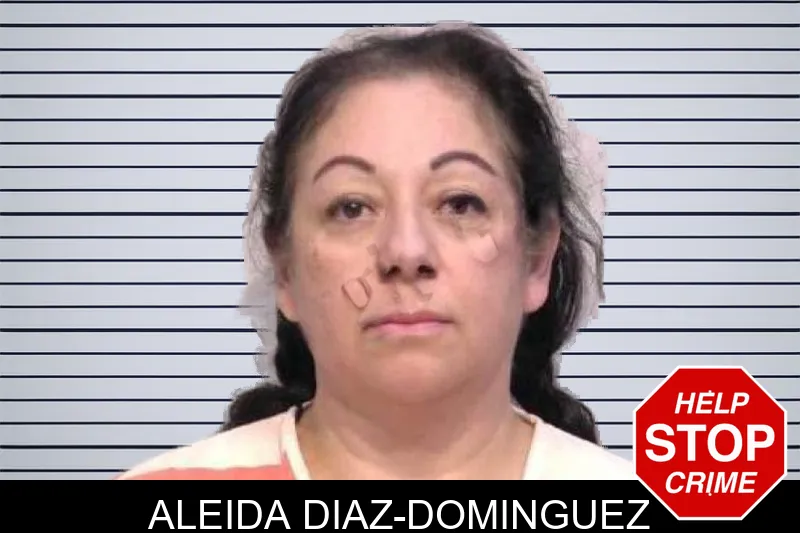 Aleida Diaz-Dominguez mugshot