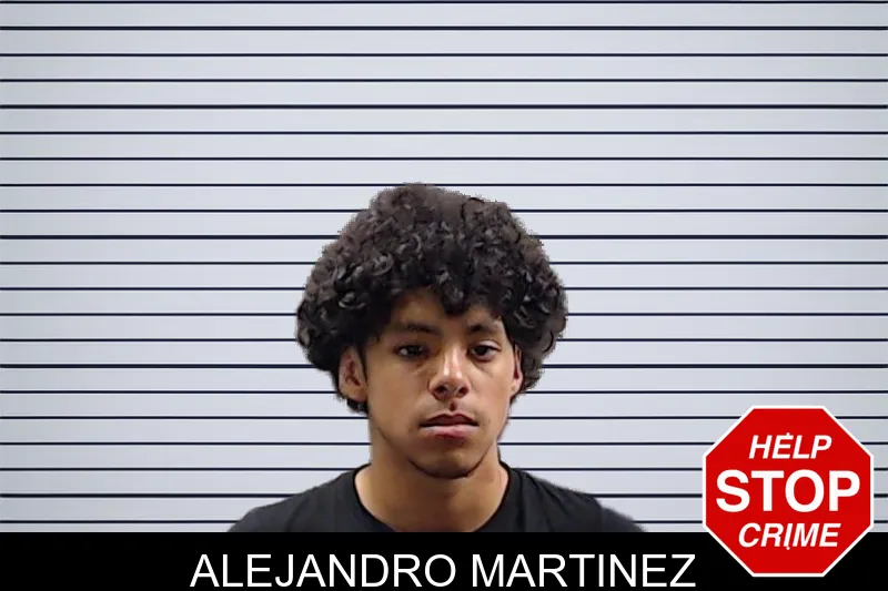 Alejandro Martinez mugshot