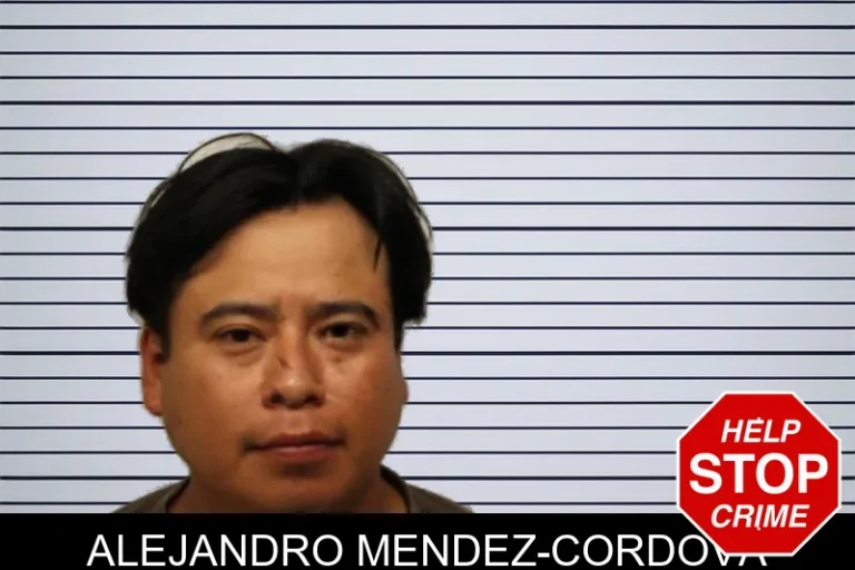 Alejandro Mendez-Cordova
