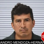 Alejandro Mendoza-Hernandez mugshot – Mcintosh County , Georgia Alejandro Mendoza-Hernandez mugshot