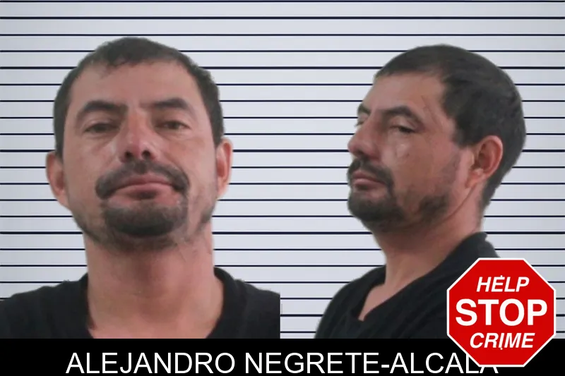 Alejandro Negrete-Alcala mugshot – Houston County , Georgia Alejandro Negrete-Alcala mugshot