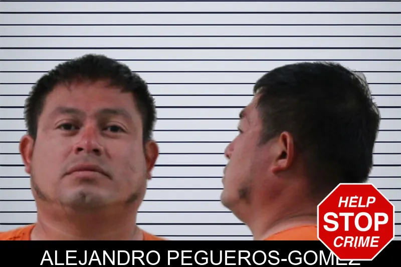 Alejandro Pegueros-Gomez mugshot