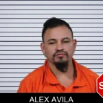 Alex Avila mugshot