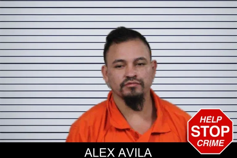 Alex Avila