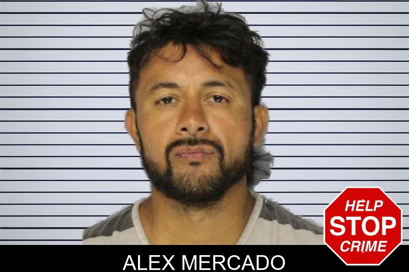 Alex Mercado mugshot – Hall County , Georgia Alex Mercado mugshot