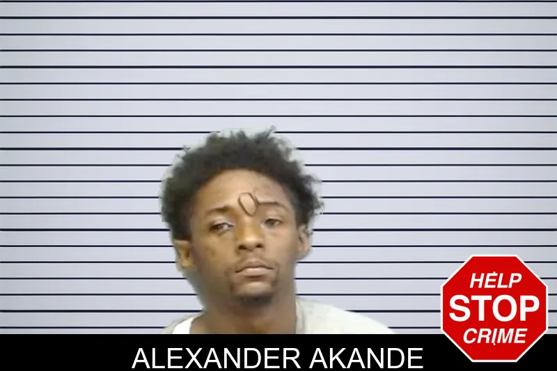 Alexander Akande mugshot – Fulton County , Georgia Alexander Akande mugshot