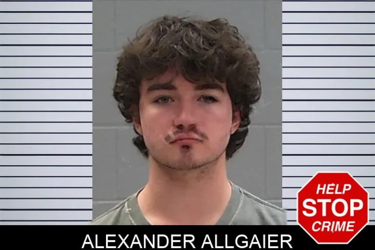 Alexander Allgaier