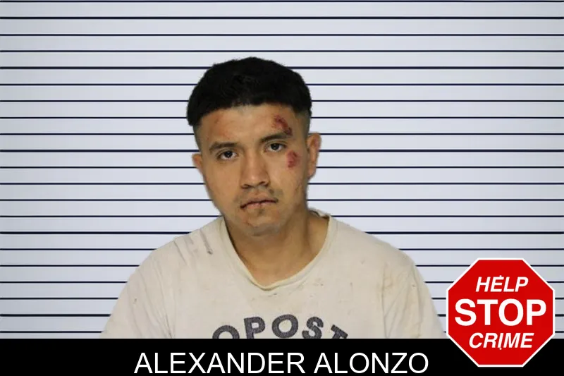 Alexander Alonzo mugshot – Hall County , Georgia Alexander Alonzo mugshot