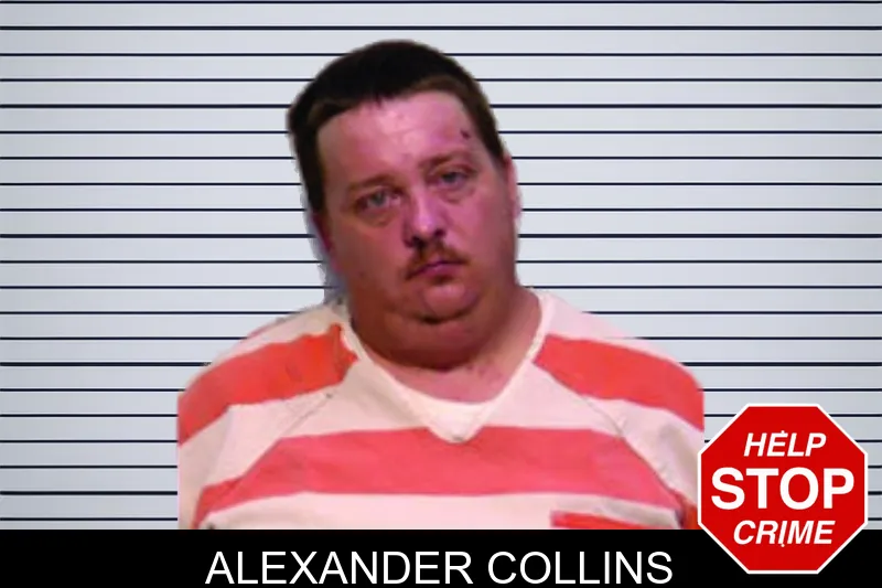 Alexander Collins mugshot – Bartow County , Georgia Alexander Collins mugshot