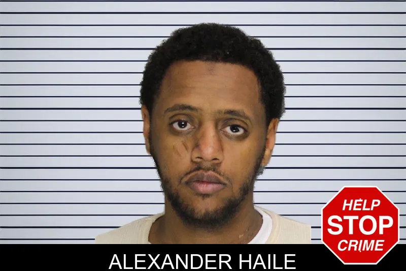 Alexander Haile mugshot – Cobb County , Georgia Alexander Haile mugshot