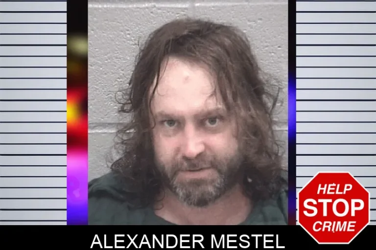 Alexander Mestel mugshot – Columbia County , Georgia Alexander Mestel
