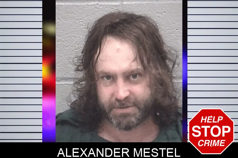 Alexander Mestel mugshot