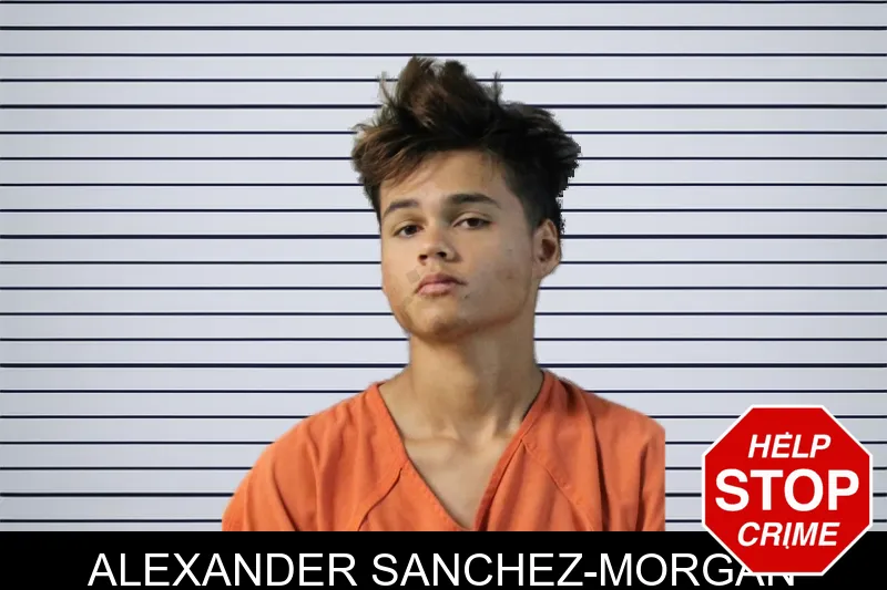 Alexander Sanchez-Morgan mugshot
