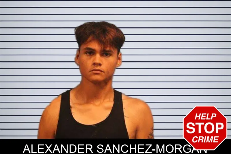 Alexander Sanchez-Morgan mugshot – Monroe County , Georgia Alexander Sanchez-Morgan mugshot