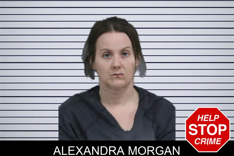 Alexandra Morgan mugshot – Catoosa County , Georgia Alexandra Morgan mugshot