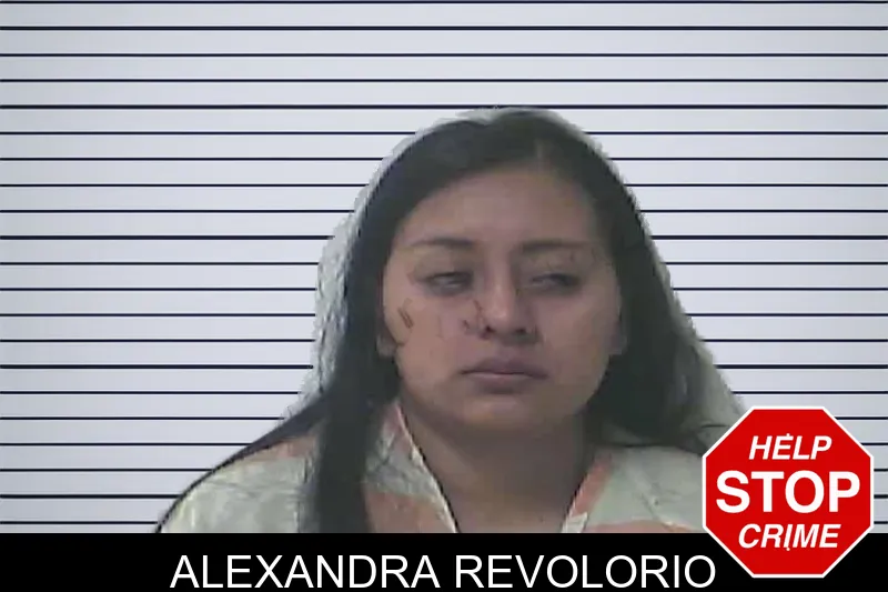 Alexandra Revolorio mugshot – Oconee County , Georgia Alexandra Revolorio mugshot