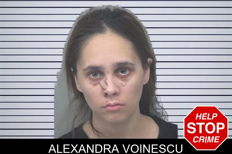 Alexandra Voinescu mugshot – Gwinnett County , Georgia Alexandra Voinescu mugshot