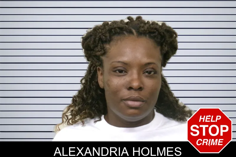 Alexandria Holmes mugshot – Bulloch County , Georgia Alexandria Holmes mugshot