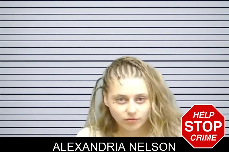 Alexandria Nelson mugshot – Fulton County , Georgia Alexandria Nelson mugshot