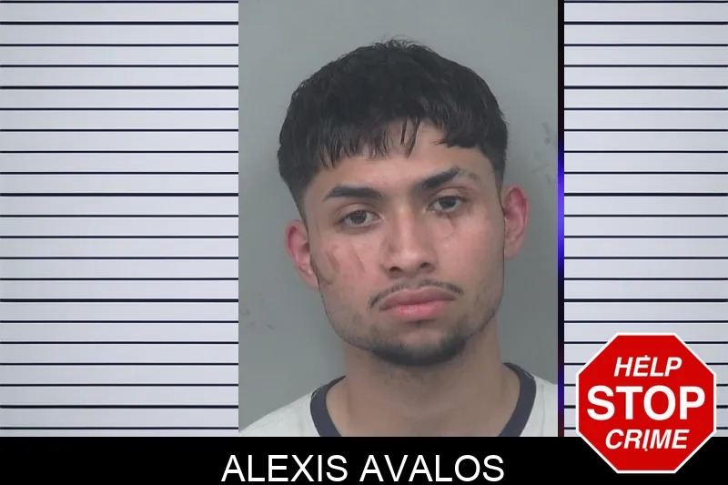 Alexis Avalos mugshot – Gwinnett County , Georgia Alexis Avalos mugshot