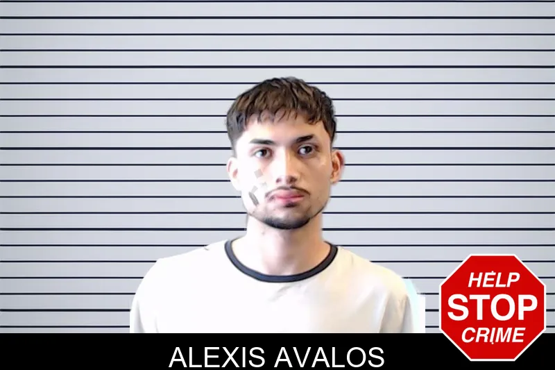 Alexis Avalos mugshot