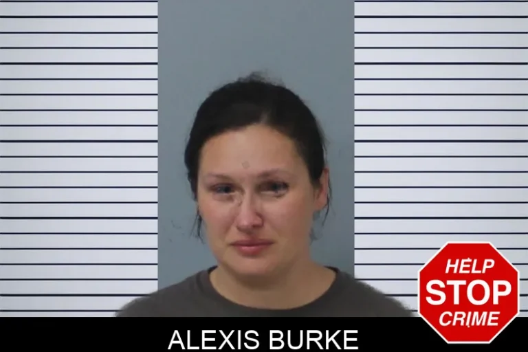 Alexis Burke mugshot – Mcintosh County , Georgia Alexis Burke