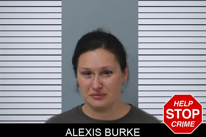 Alexis Burke mugshot