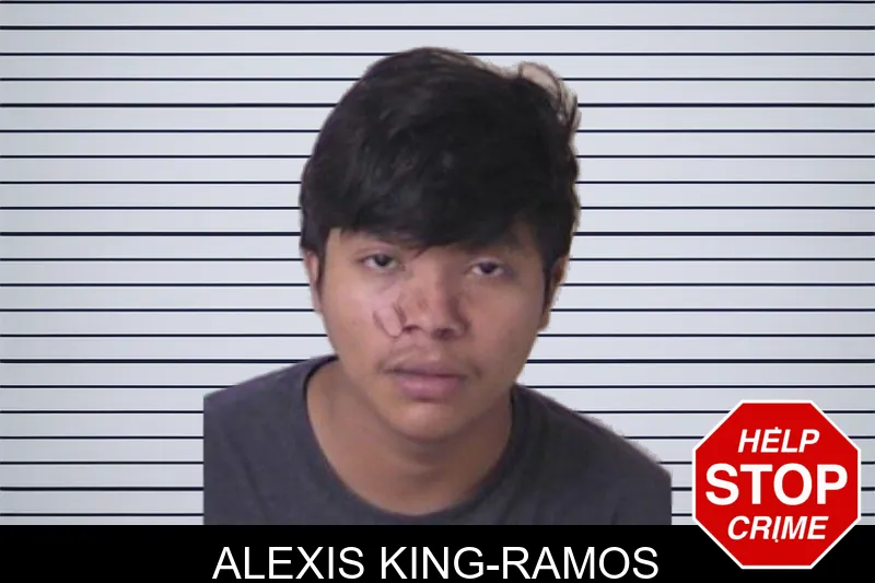 Alexis King-Ramos mugshot – Walker County , Georgia Alexis King-Ramos mugshot