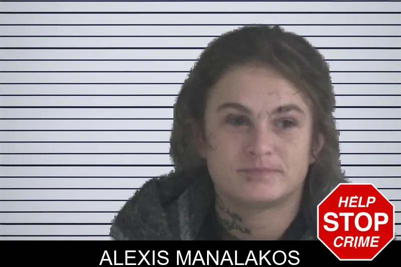 Alexis Manalakos mugshot – Brantley County , Georgia Alexis Manalakos mugshot