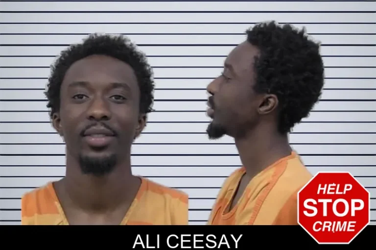 Ali Ceesay