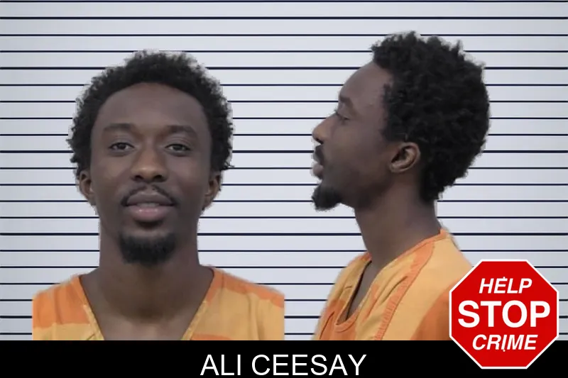 Ali Ceesay mugshot