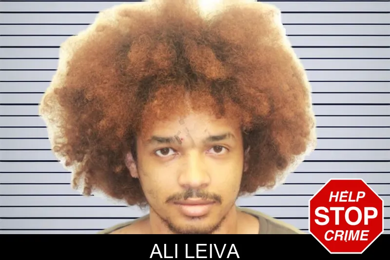 Ali Leiva mugshot