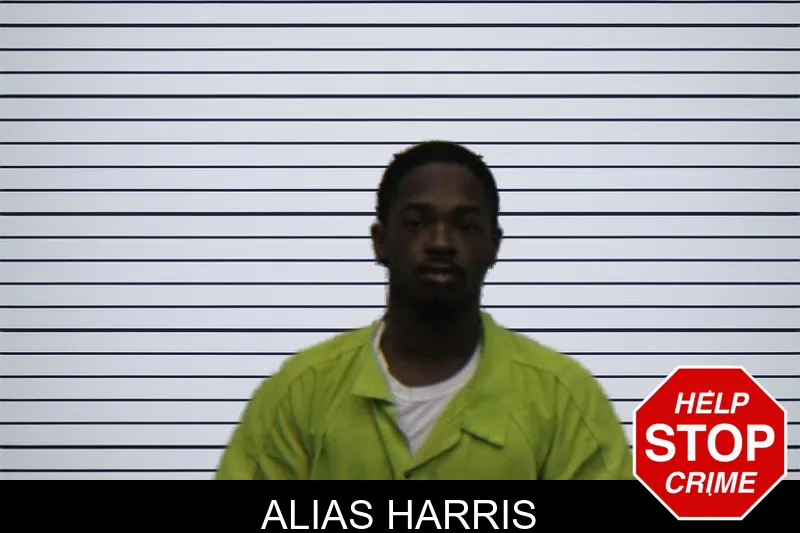 Alias Harris mugshot – Turner County , Georgia Alias Harris mugshot