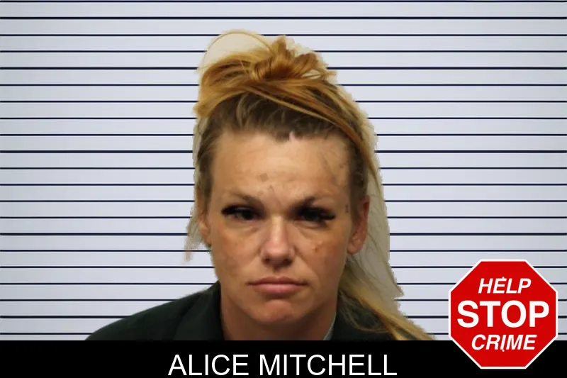 Alice Mitchell mugshot