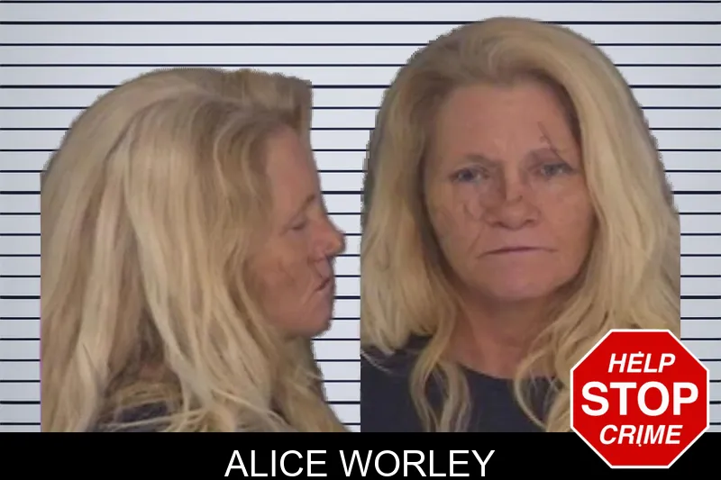 Alice Worley mugshot – Barrow County , Georgia Alice Worley mugshot