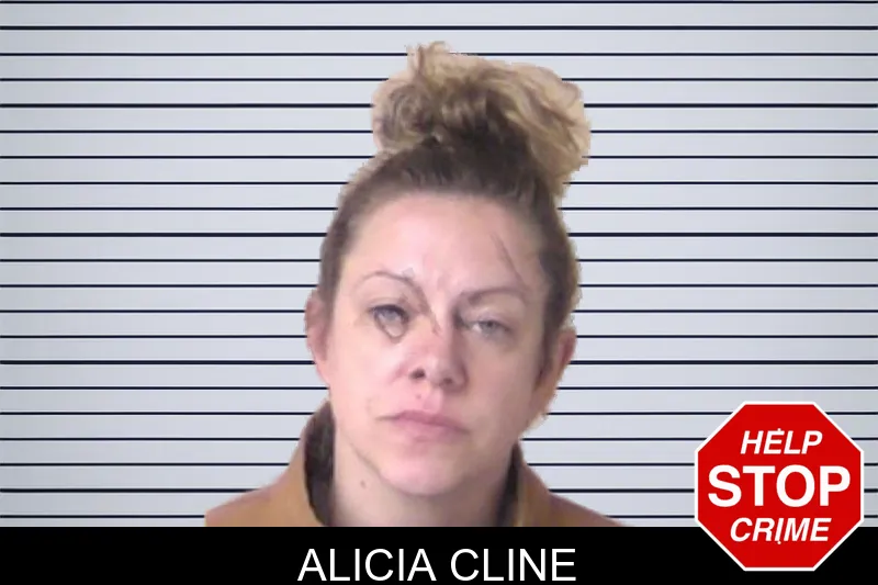 Alicia Cline mugshot