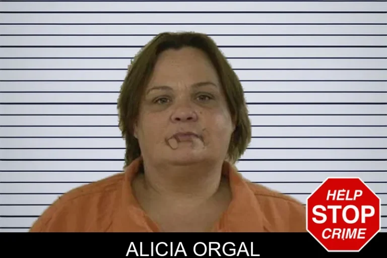 Alicia Orgal