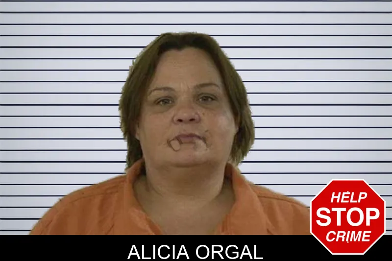 Alicia Orgal mugshot – Liberty County , Georgia Alicia Orgal mugshot
