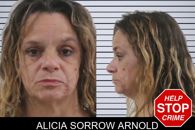 Alicia Sorrow Arnold mugshot – Houston County , Georgia Alicia Sorrow Arnold mugshot