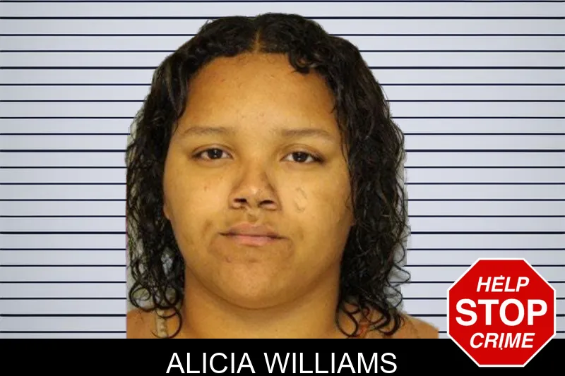 Alicia Williams mugshot – Hall County , Georgia Alicia Williams mugshot