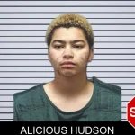 Alicious Hudson mugshot – Cherokee County , Georgia Alicious Hudson mugshot