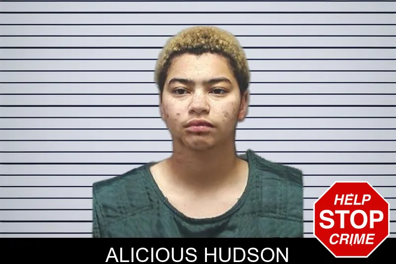 Alicious Hudson mugshot – Cherokee County , Georgia Alicious Hudson mugshot
