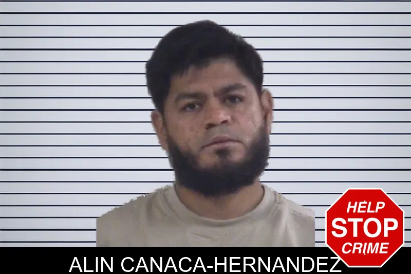 Alin Canaca-Hernandez mugshot