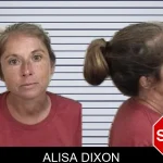 Alisa Dixon mugshot – Camden County , Georgia Alisa Dixon mugshot